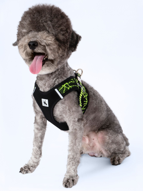 Шлея для собак розмір М , Л 16153 Луцьк - фото 7