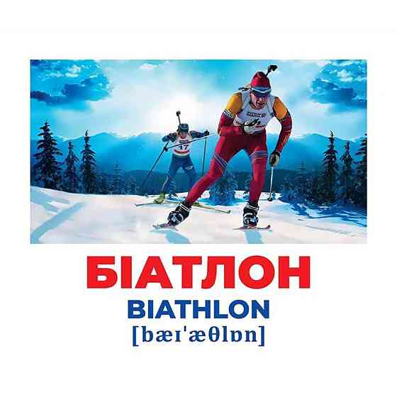 Набір розвиваючих карток Геній з пелюшок Види спорту 10107204, 17 карток Вінниця