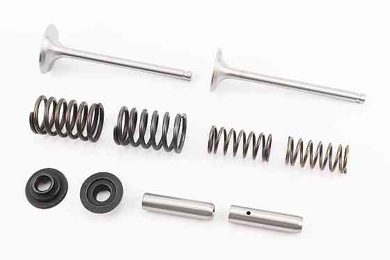 Клапан впускний (h-120; D-42; d-7,95), випускний (h-120; D-36; d-7,95) + клапанний механізм к-кт R195NM Киев