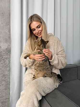 Женская уютная пижама двойка с капюшоном двусторонняя махра Бежевый, 46/48 Одесса