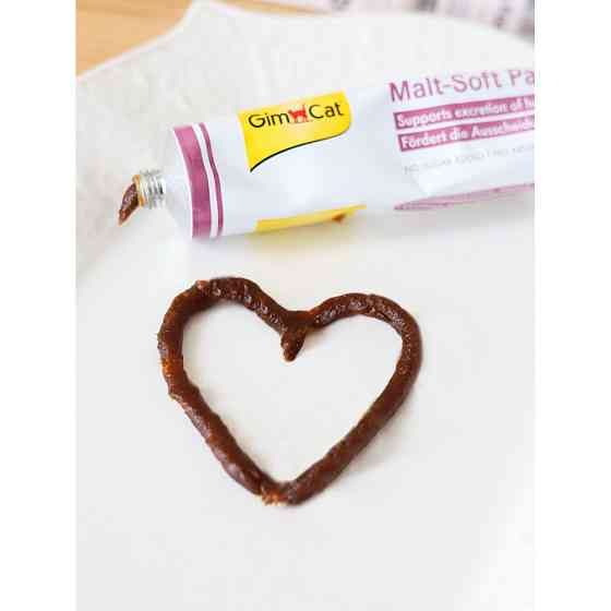 Паста для котів GimCat Cheese Biotin Paste cирна з біотином, 100 г Вінниця