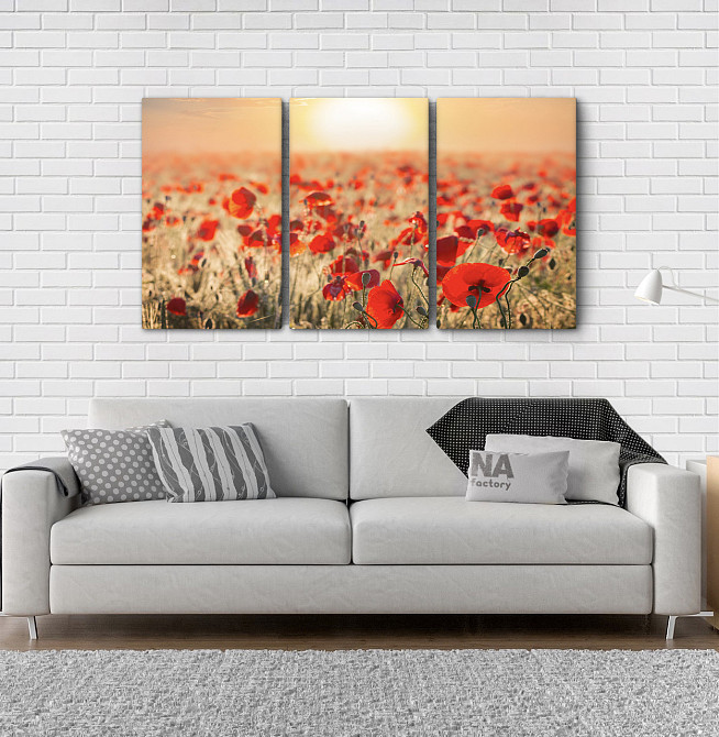 Модульна картина Природа Маки Art-64_3А Київ - фото 2