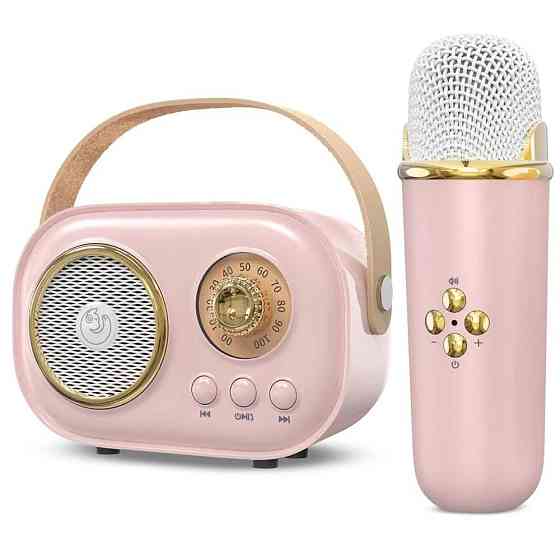 Портативна колонка-караоке + мікрофон,Рожева SBR Київ