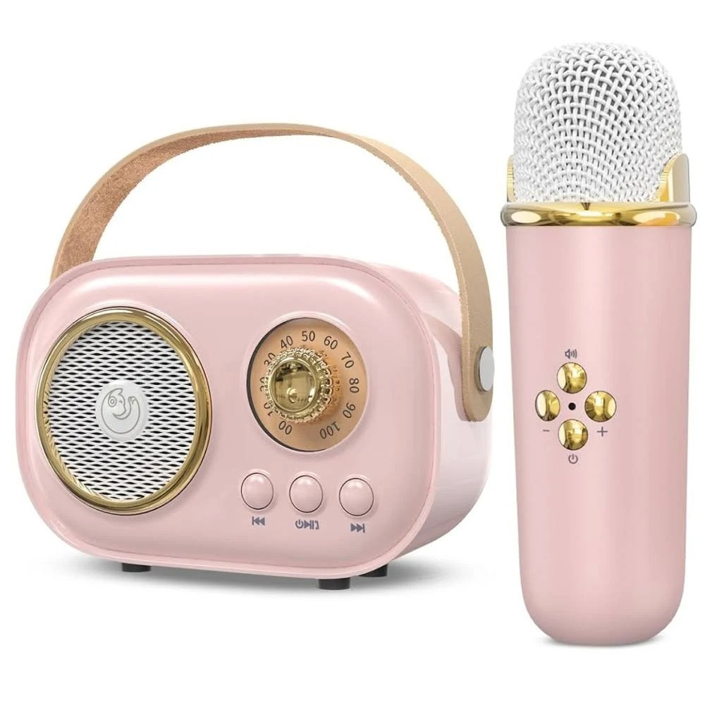 Портативная колонка-караоке + микрофон,Розовая SBR Киев - изображение 1