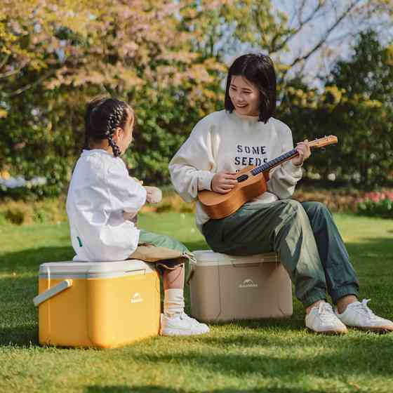 Туристический холодильник Naturehike CNK2450CF012, 18 л, бежевый Киев