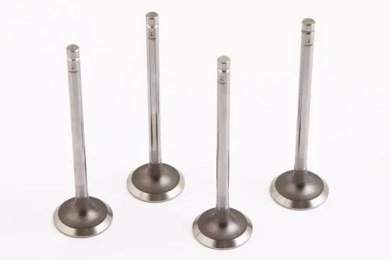 Клапан Aveo 1.6 AMP впускні (Lacetti) (4 шт.) Вінниця