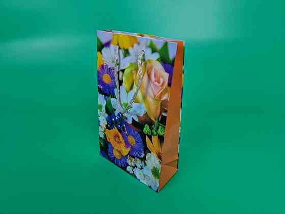 Бумажный пакет подарочный Средний 17/26/8(артSV-236) (12 шт) Харьков