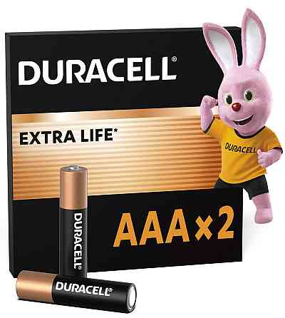 Лужні батарейки Duracell AAA, 2 шт. (6409628) Київ
