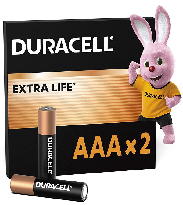 Лужні батарейки Duracell AAA, 2 шт. (6409628) Київ - фото 1