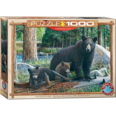 Пазл Eurographics Познавая мир 1000 элементов (6000-0793) Вінниця - фото 1