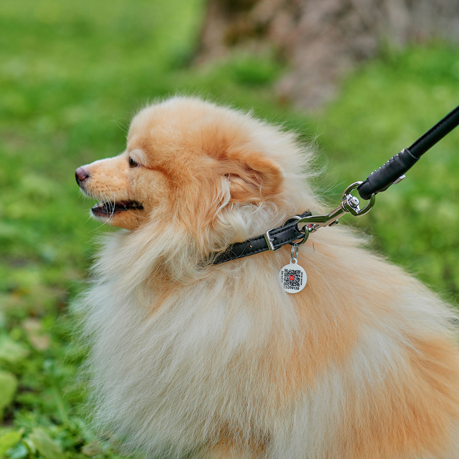 Нашийник для собак шкіряний WAUDOG Soft з QR паспортом, круглий, Д 6 мм, Дов 17-20 см чорний Коломия - фото 5