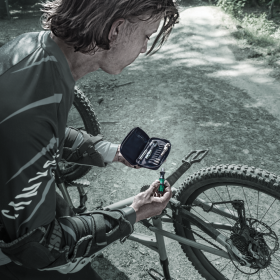 Набор торцевых головок и бит с трещеткой Wera 1/4