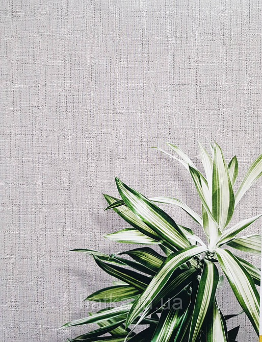 Шпалери вінілові на флізеліні гарячого тиснення DU&KA 1.06х10 вензель основа під штукатурку сірі коричневі Київ - фото 1