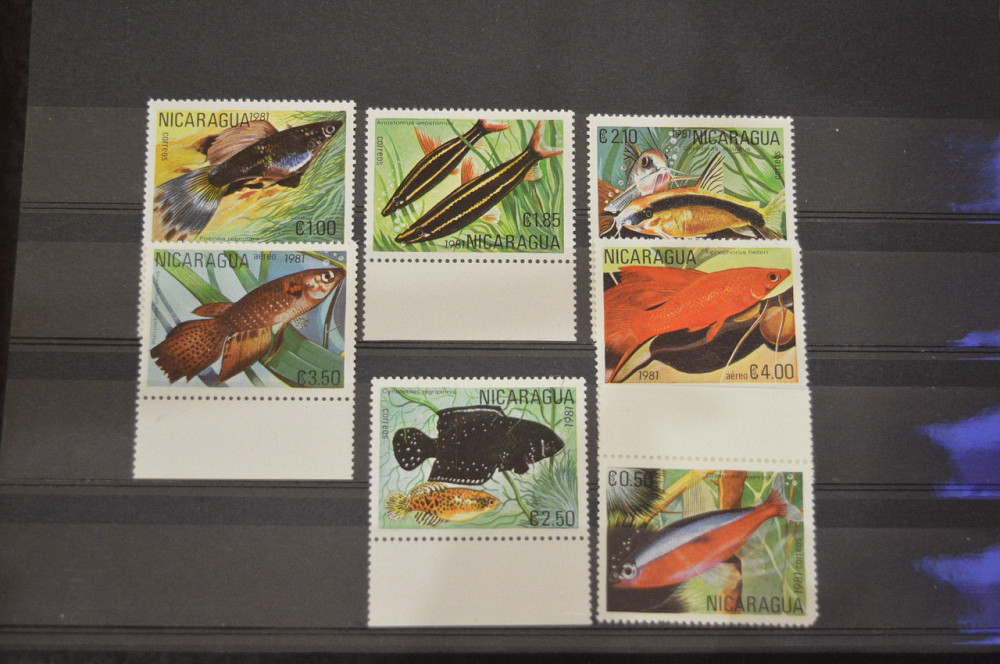 Марки. Серия. Никарагуа (УНЦ) Полтава - изображение 1