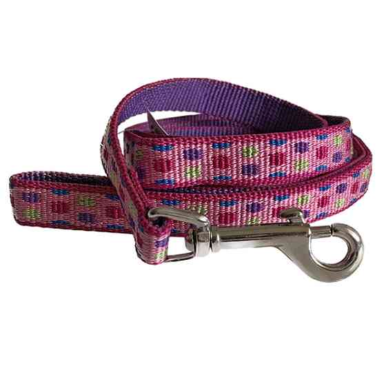 Coastal Pet Attire Weave КОСТАЛ поводок для собак, 1смХ1.8м Киев
