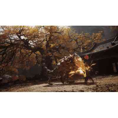 Гра Sony Black Myth: Wukong, BD диск (5056635611864) Вінниця