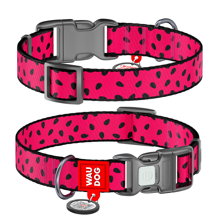 Нашийник для собак нейлоновий WAUDOG Nylon з QR паспортом, малюнок "Кавун", пластиковий фастекс Коломыя - изображение 1