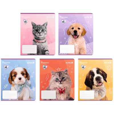 Тетрадь Kite Rachael Hale, 12 листов, клетка (R25-232) Винница