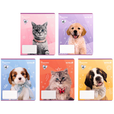 Тетрадь Kite Rachael Hale, 12 листов, клетка (R25-232) Винница - изображение 1