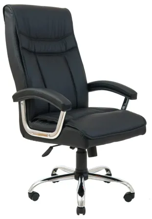 Офісне Крісло Керівника Richman Burgas Fly 2230 Хром М2 AnyFix Чорний Київ