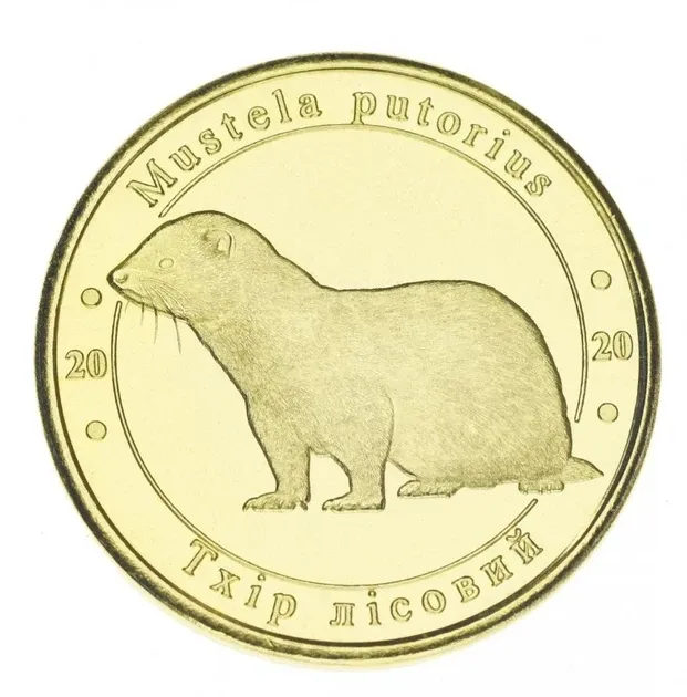 Украина 1 злотник 2020 Красная книга Украины - Животное - Лесной хорёк UNC Полтава - изображение 1