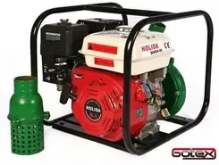 Насос Pompa ogrodowa Holida Qgz65-55 Київ - photo 1