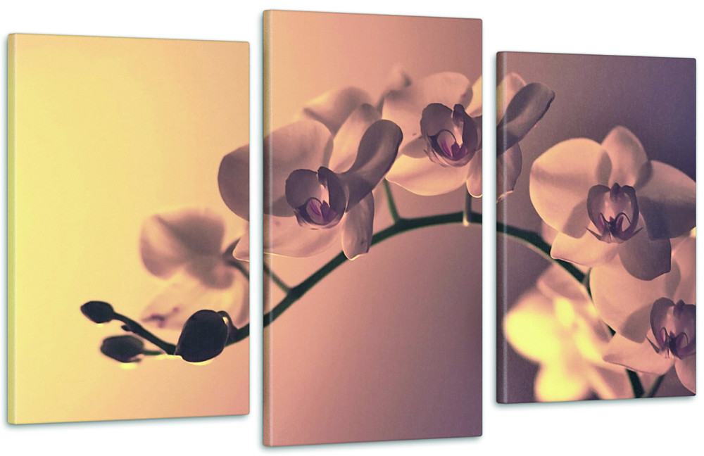 Модульна картина Орхідея Art-216_3 100x150 см Київ - фото 1