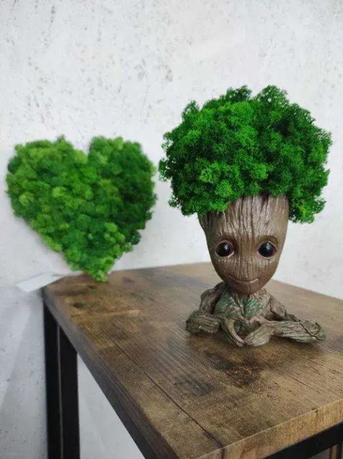 Кашпо горщик зі стабілізованим мохом Грут Groot G2 Вінниця - фото 7