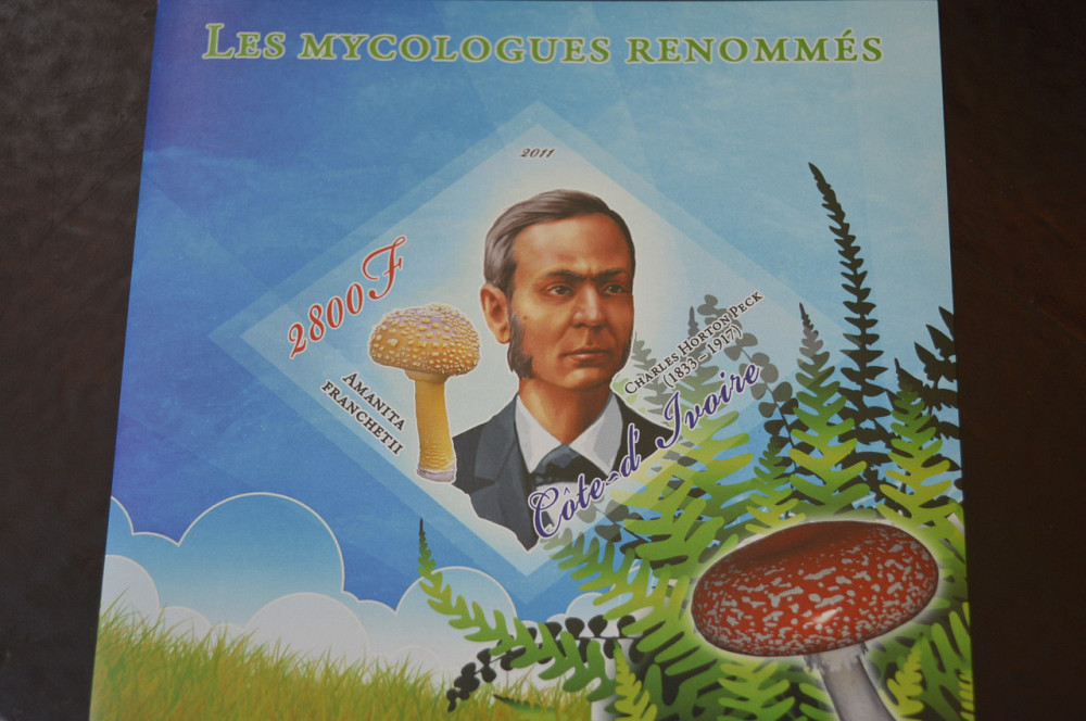 Марки. Особистості. Блок. 2011 рік (А-15) Полтава - изображение 1