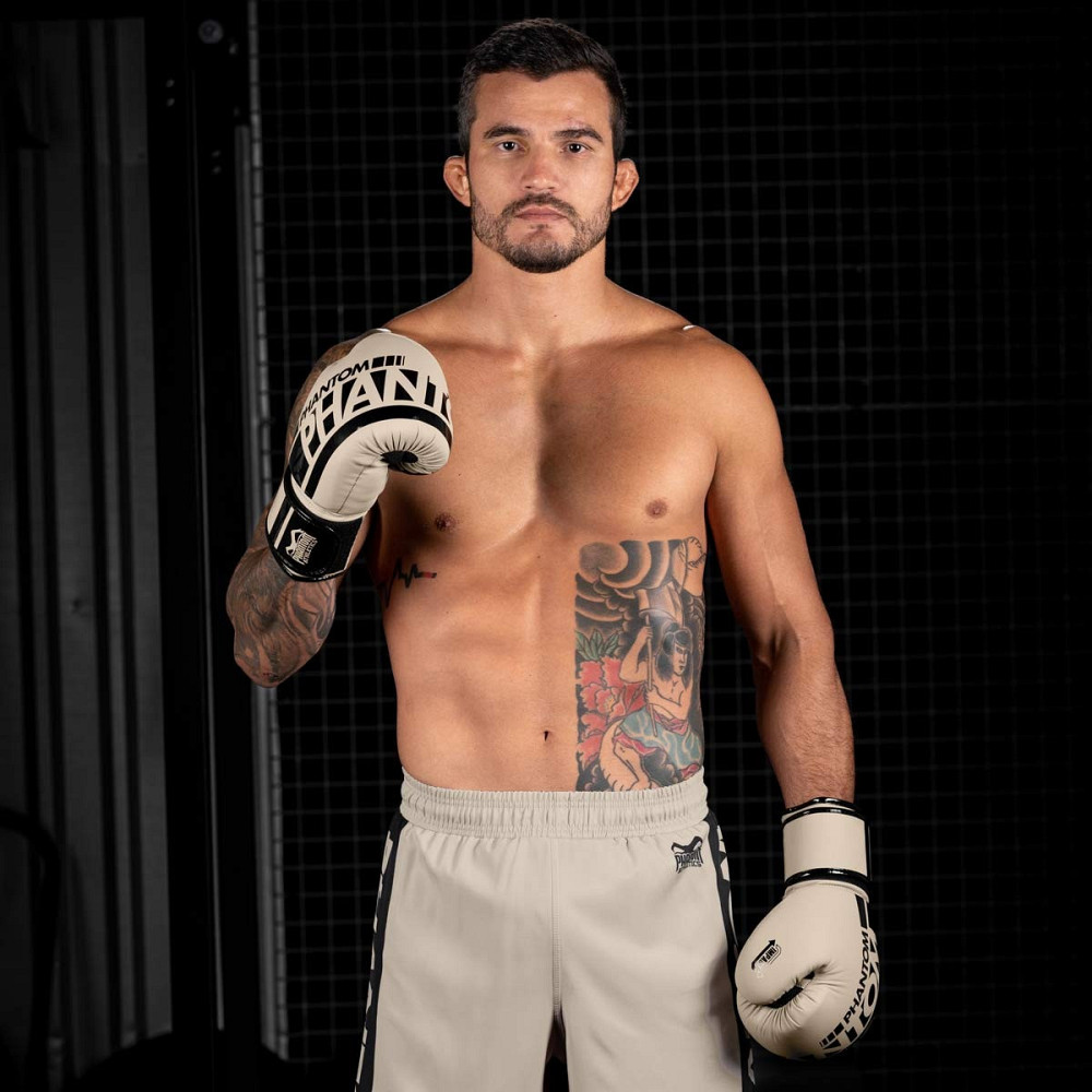 Боксерські рукавиці Phantom APEX Sand 16 унцій (капа в подарунок) Кам'янське - фото 10