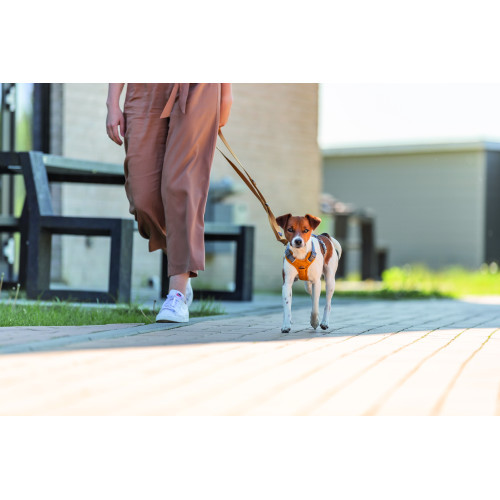 Повідок Trixie Premium для собак регульований L–XL 2 м 25 мм оранжевий Київ - фото 3