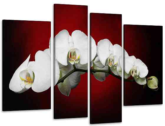Модульная картина Орхидея Art-93_4 115x170 см Киев