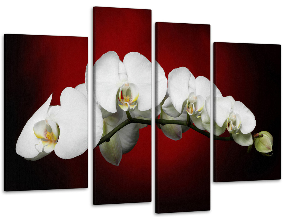 Модульная картина Орхидея Art-93_4 115x170 см Киев - изображение 1