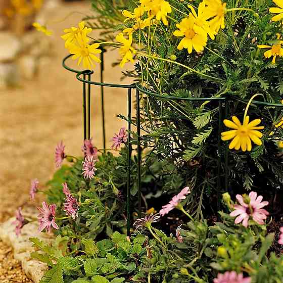 Набор садовых ограждений-подпорок 3 шт для поддержки растений, цветов, саженцев, рассады размер 25х40 см Каменец-Подольский