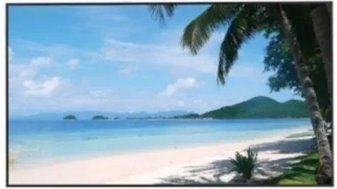 Монитор Dahua  Dhi-Lm55-S400-Se-V1 (DHILM55S400SEV1) Киев