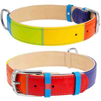 Ошейник для животных WAUDOG Glamour с QR паспортом "Радуга" S (3920) Винница