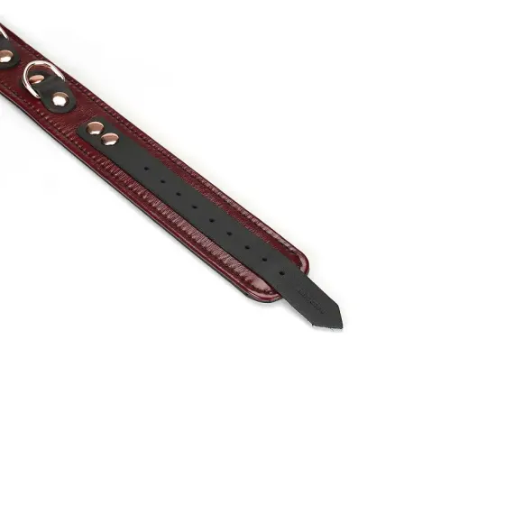 Нашийник з повідцем Liebe Seele Wine Red Collar and Leash Львів