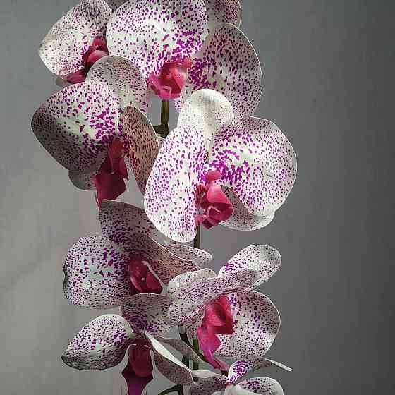 Штучна латексна орхідея VIP у пластиковому кашпо на одну гілку біло-бузкова Дніпро