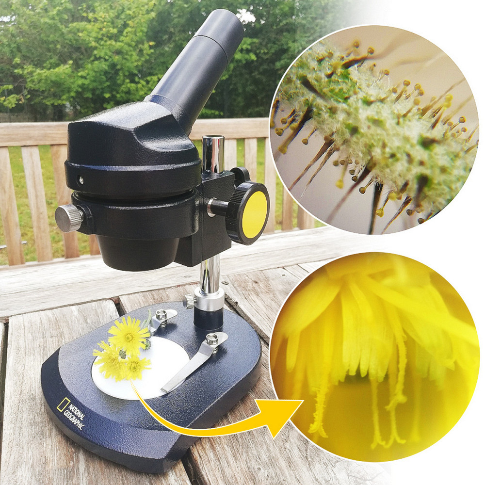 Компресорний автохолодильник Alpicool TSL35 (35 літрів). Для TESLA Model Y. До -20℃, (12, 24, 220 вольт) Київ - фото 4