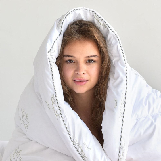 Набір IDEIA евро SUPER SOFT CLASSIC ( Ковдра 200х220 см + 2 подушки 50х70 см ) Чернівці