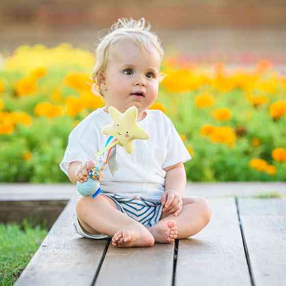 Брязкальце - Зірочка Дніпро