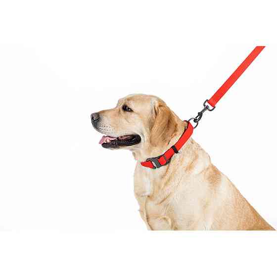 Поводок для собак водостойкий WAUDOG Waterproof, S, Ш 15 мм, Длинна 183 см красный Киев