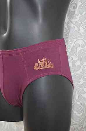 Трусы мужские Классика Lans 02/024 Киев