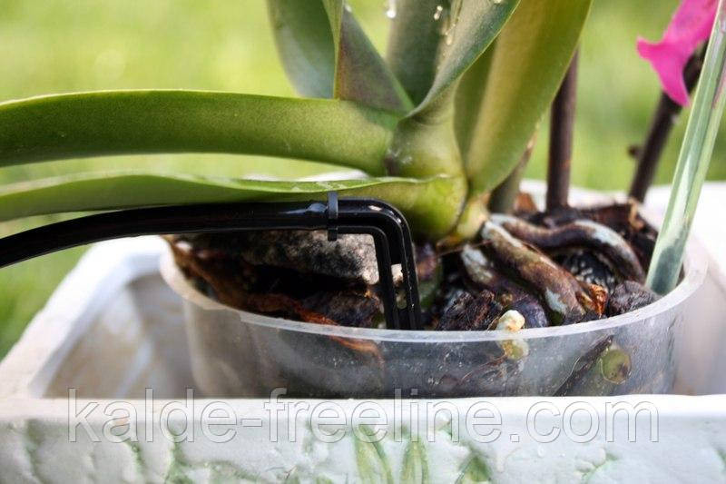 Крапельниця садова Presto-PS "Спиця" 2 л/год, в пакованні — 100 шт. (2102) Харків - фото 5