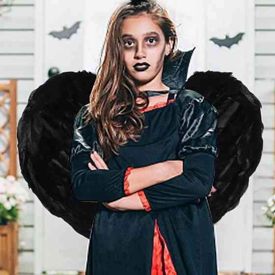 Крила Ангела 45х30см,MA26-189,Чорні SBR Київ