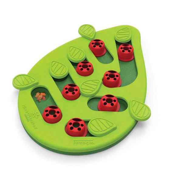 Интерактивная игрушка головоломка для лакомств для котов Nina Ottosson Buggin Out Puzzle Play (Нина Оттоссон) Запорожье