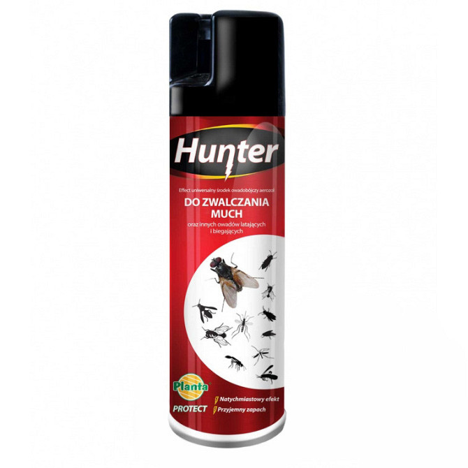 Аерозоль Hunter від мух і інших комах Київ - photo 1