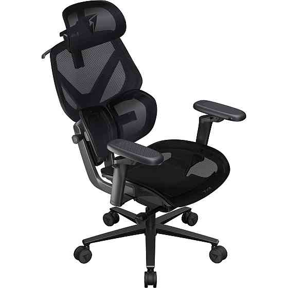 Крісло для геймерів TX3 Flex Pro Mesh Black (TEGC-3076101.12) ( Чорний ) Харків