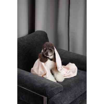 Коврик для животных Pet Fashion Bliss 2 68х114.6 пудра (4823082441358) Винница