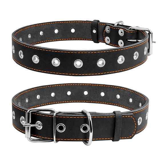 Нашийник "CoLLaR" безрозмірний (ширина 35мм, довжина 69см) чорний Коломия